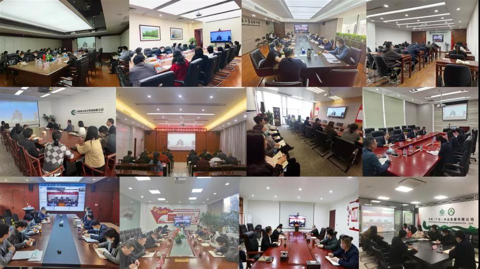 中林集團(tuán)召開黨史學(xué)習(xí)教育總結(jié)會議(圖3)