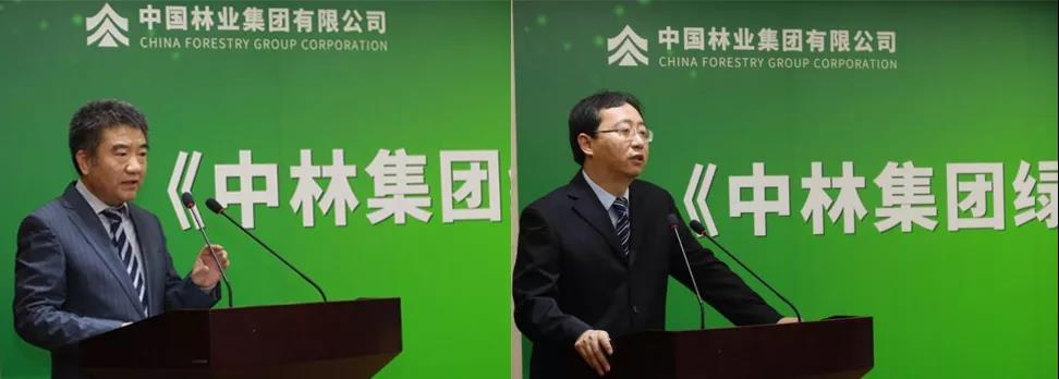 《中林集團綠色高質量發(fā)展暨“碳中和”白皮書》發(fā)布(圖3)