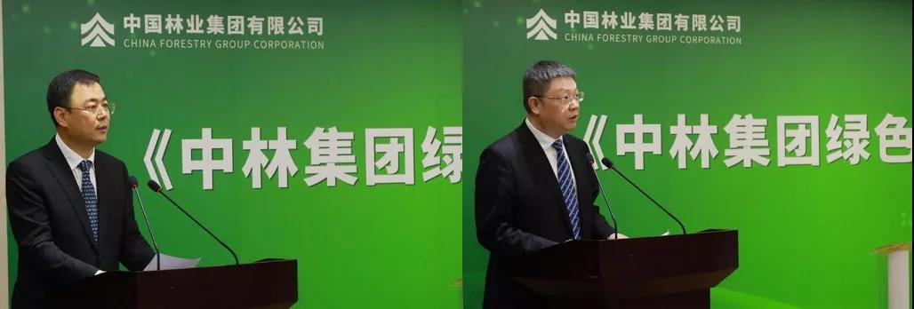 《中林集團綠色高質量發(fā)展暨“碳中和”白皮書》發(fā)布(圖4)